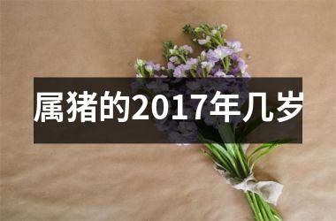 属猪的2017年几岁