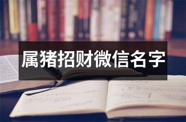 属猪招财微信名字