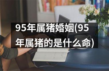 95年属猪婚姻(95年属猪的是什么命)