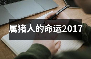 属猪人的命运2017