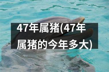 47年属猪(47年属猪的今年多大)