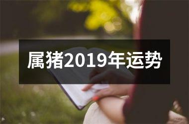 属猪2019年运势