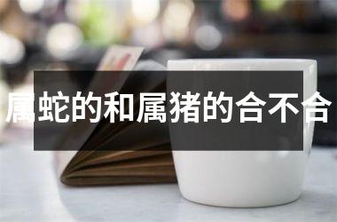 属蛇的和属猪的合不合