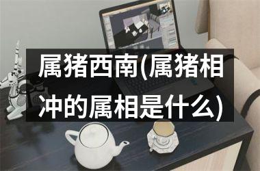 属猪西南(属猪相冲的属相是什么)