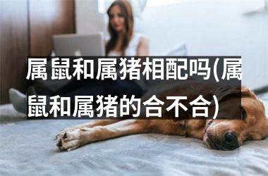 属鼠和属猪相配吗(属鼠和属猪的合不合)