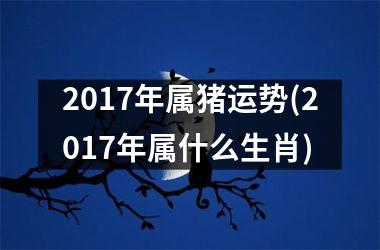 2017年属猪运势(2017年属什么生肖)