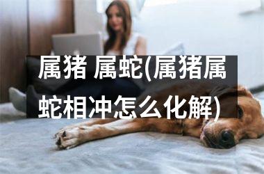 属猪 属蛇(属猪属蛇相冲怎么化解)