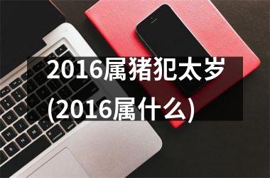 2016属猪犯太岁(2016属什么)