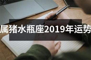 <h3>属猪水瓶座2019年运势