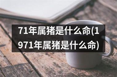 <h3>71年属猪是什么命(1971年属猪是什么命)