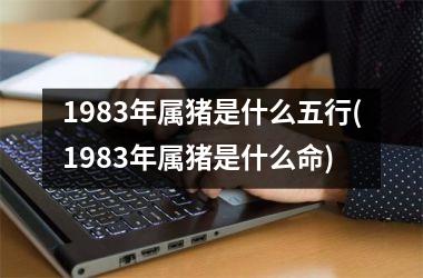 1983年属猪是什么五行(1983年属猪是什么命)