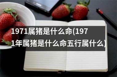 <h3>1971属猪是什么命(1971年属猪是什么命五行属什么)