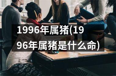 1996年属猪(1996年属猪是什么命)