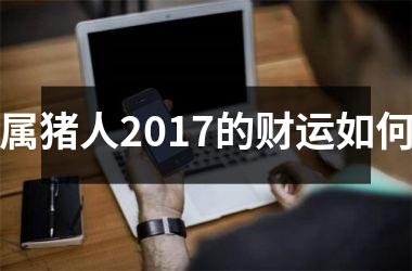 属猪人2017的财运如何