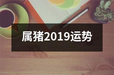 属猪2019运势