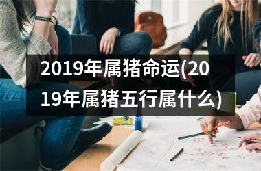 2019年属猪命运(2019年属猪五行属什么)