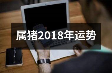 属猪2018年运势