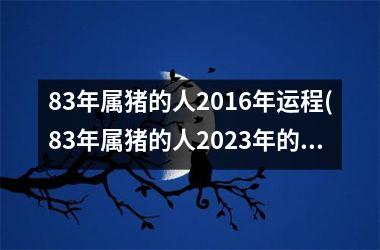 83年属猪的人2016年运程(83年属猪的人2025年的运势及运程)