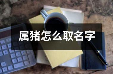 属猪怎么取名字