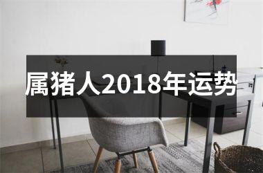 属猪人2018年运势