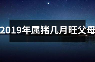 2019年属猪几月旺父母