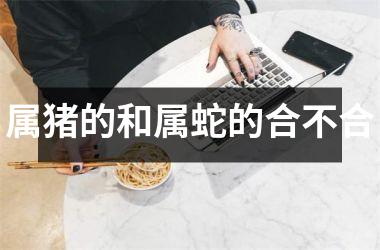 属猪的和属蛇的合不合