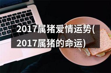 2017属猪爱情运势(2017属猪的命运)