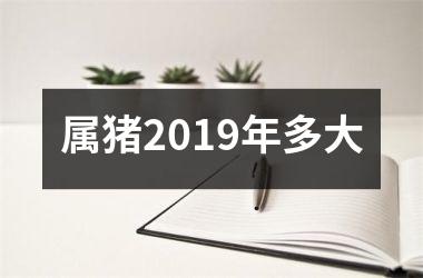 属猪2019年多大