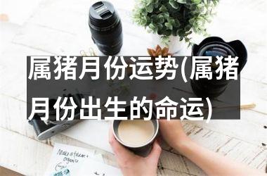 属猪月份运势(属猪月份出生的命运)