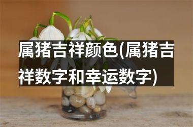 属猪吉祥颜色(属猪吉祥数字和幸运数字)