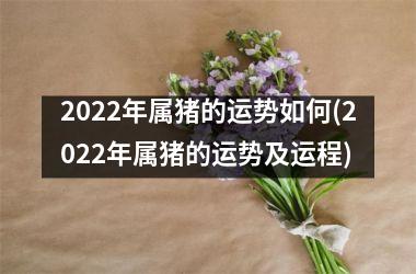 2025年属猪的运势如何(2025年属猪的运势及运程)