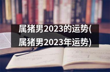 <h3>属猪男2025的运势(属猪男2025年运势)