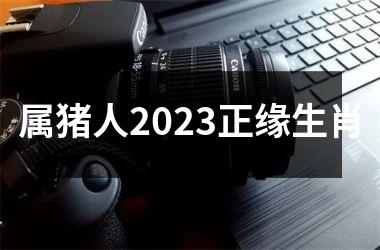 属猪人2025正缘生肖