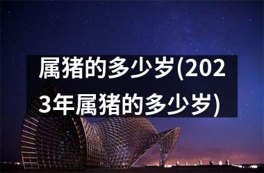 属猪的多少岁(2025年属猪的多少岁)