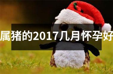 <h3>属猪的2017几月怀孕好