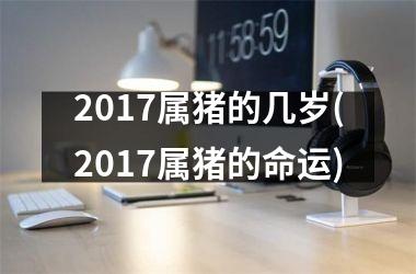 2017属猪的几岁(2017属猪的命运)