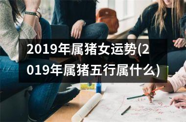 2019年属猪女运势(2019年属猪五行属什么)