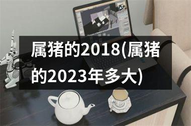 属猪的2018(属猪的2025年多大)