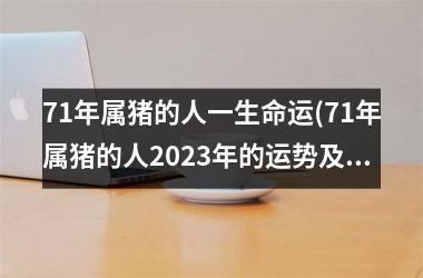 71年属猪的人一生命运(71年属猪的人2025年的运势及运程)