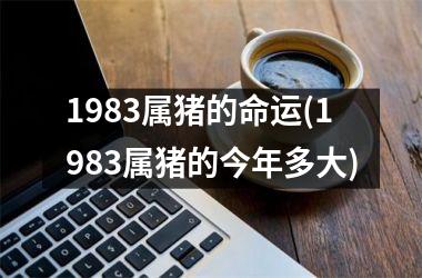 1983属猪的命运(1983属猪的今年多大)