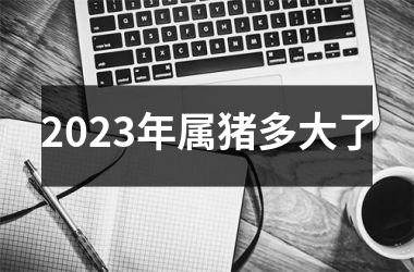 2025年属猪多大了