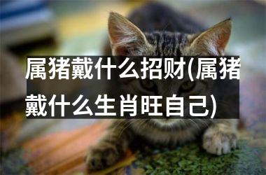 属猪戴什么招财(属猪戴什么生肖旺自己)