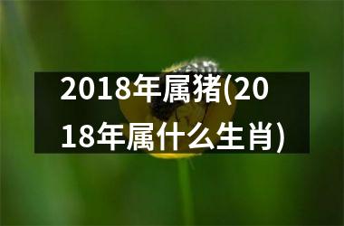 2018年属猪(2018年属什么生肖)