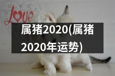 属猪2025(属猪2025年运势)