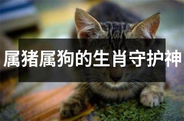 属猪属狗的生肖守护神