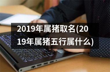 <h3>2019年属猪取名(2019年属猪五行属什么)