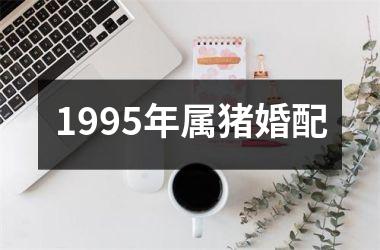 <h3>1995年属猪婚配