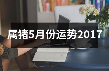 属猪5月份运势2017