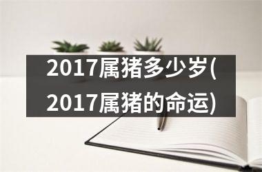 2017属猪多少岁(2017属猪的命运)