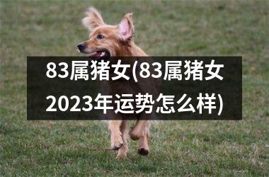 83属猪女(83属猪女2025年运势怎么样)